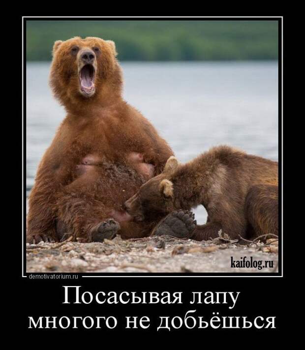 Философские демотиваторы года (55 штук)