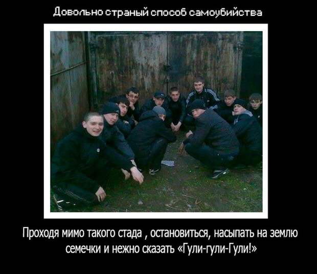 Прикольные картинки (104 фото)