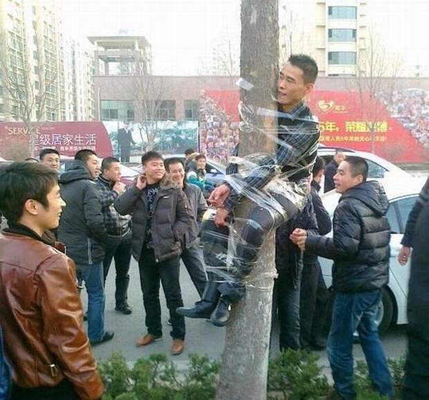 Подборка прикольных картинок