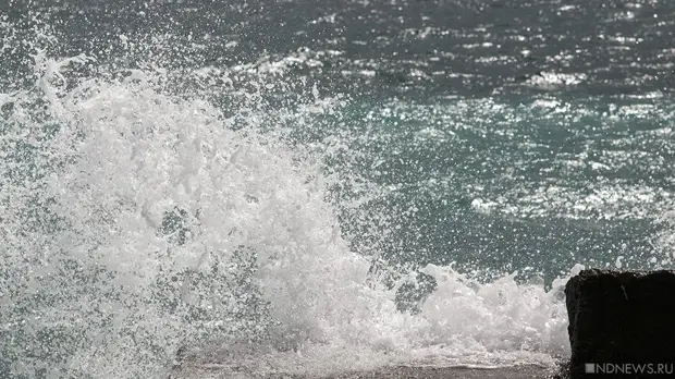 В Японии подтвердили гибель 11 пассажиров с пропавшего корабля