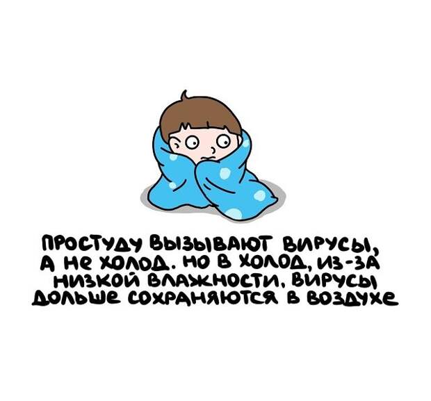 Интересные короткие факты на все случаи жизни