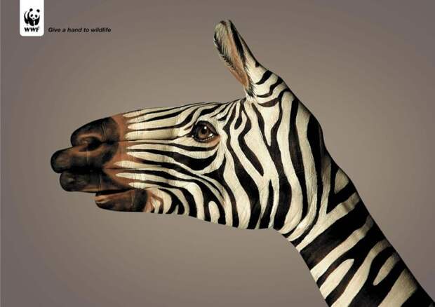 рекламные кампании о животных раскрывающие правду (17)