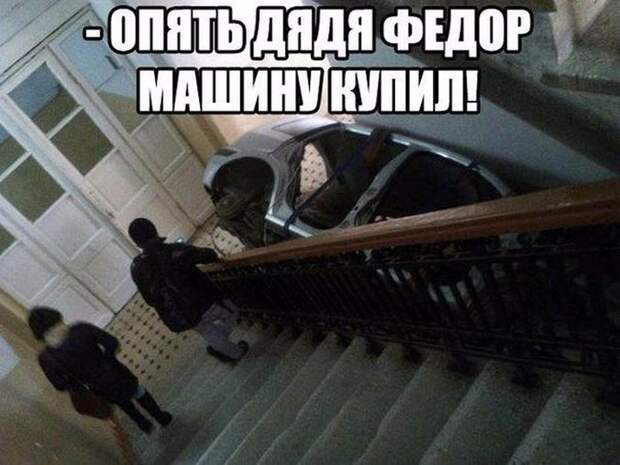 автоприколы
