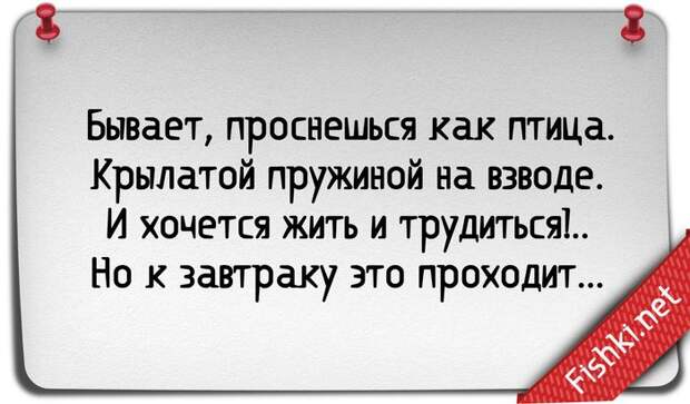 25 правдивых открыток про работу открытка, работа