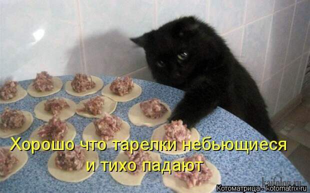 Кошатина да псятинка позитивная, этакая забавная, с надписями, очень много на выходные