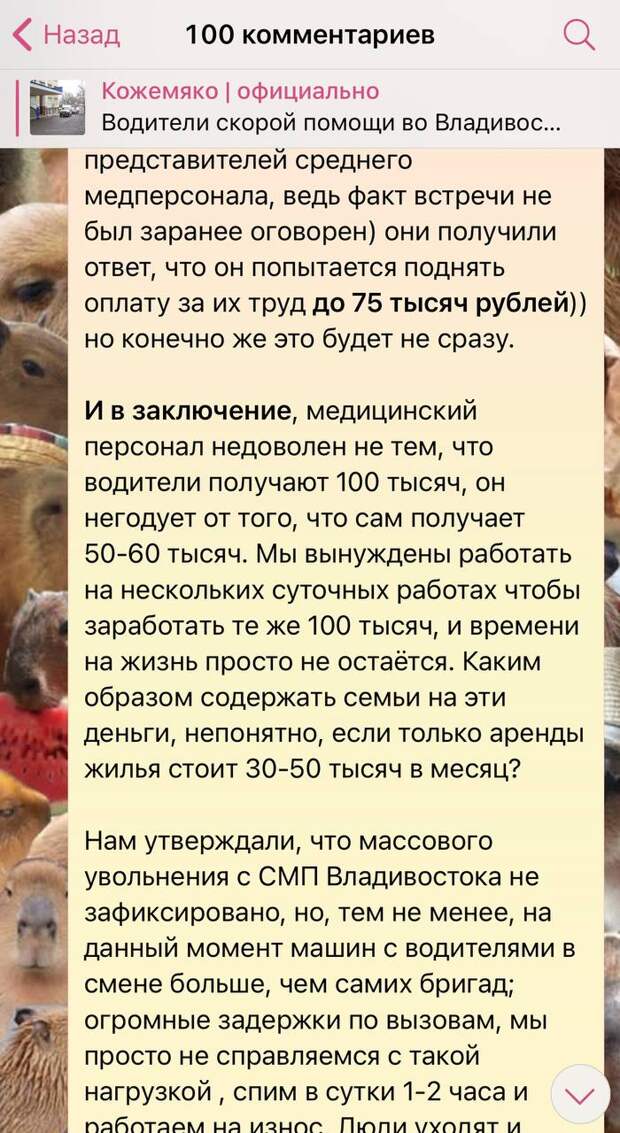 Во Владивостоке водители скорой помощи должны получать на руки не менее 100 тысяч рублей в месяц, поручил Минздраву региона губернатор Приморского края Олег Кожемяко. По его словам, это нужно для сохранения кадрового потенциала. Также он отметил, что должна быть оплачиваемая система наставничества, доплаты за стаж и переработки.