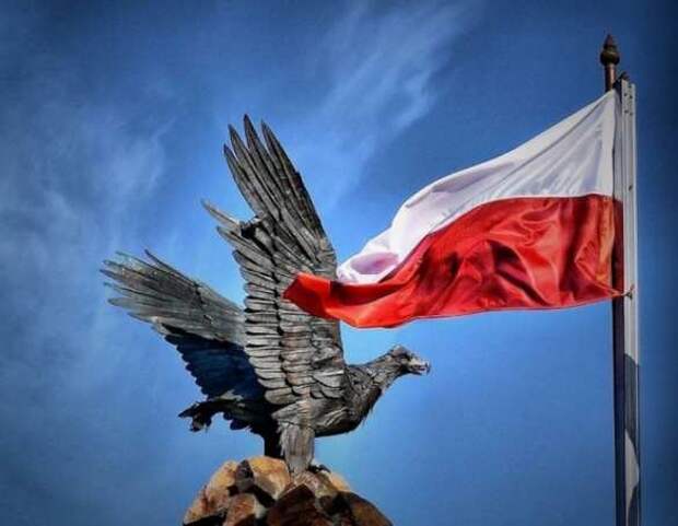 Киев категорически отказывается вести переговоры по Донбассу в Минске и предлагает перенести их в Польшу (ВИДЕО) | Русская весна