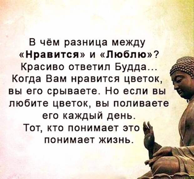 Мудрые мысли о нашей жизни. Эти слова могут изменить жизнь