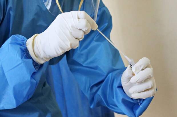 Число зараженных коронавирусом в России превысило 80 тысяч