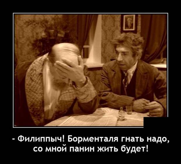Демотиватор про Панина