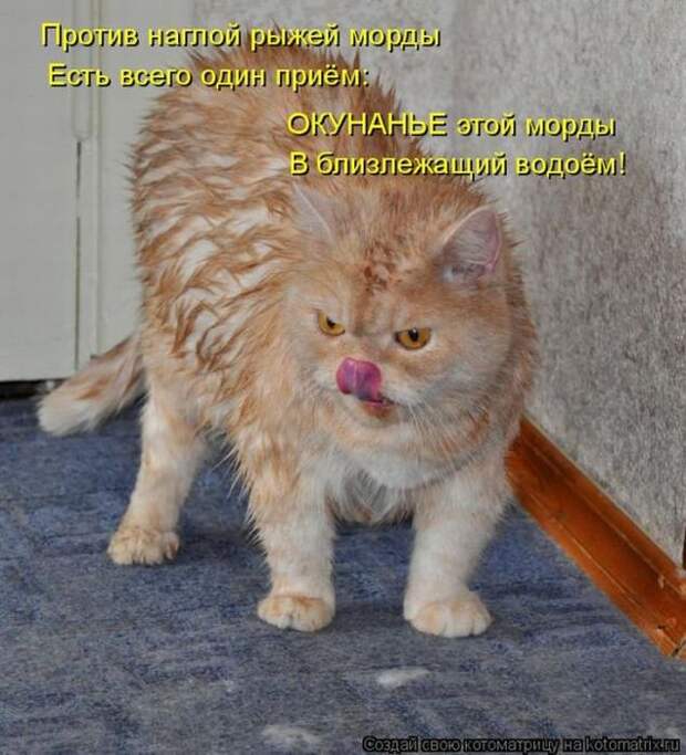 Мысли вслух :)