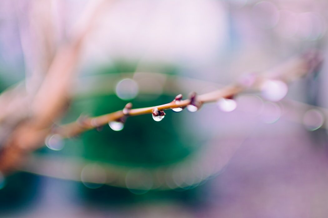 Photo Rodion Kutsaev on Unsplash