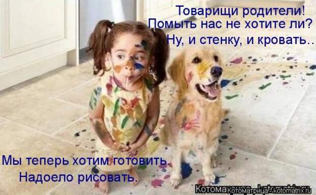 Лучшие котоматрицы недели (50 фото)