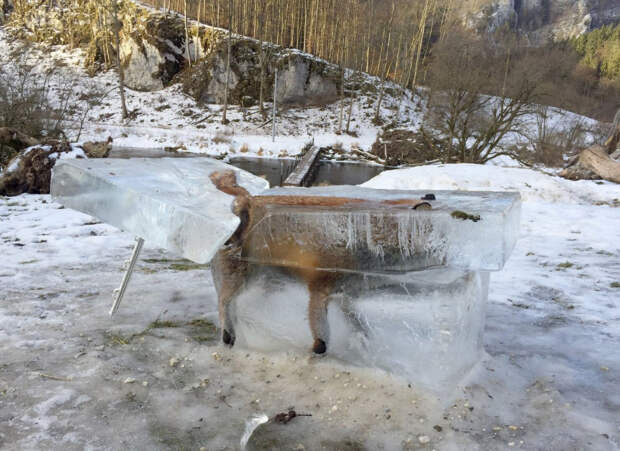 Зима в Европе глазами дронов