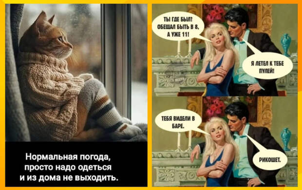 Юмор для тех, кто уже повзрослел и понял, что «здоровое питание» — это овсянка с грустью