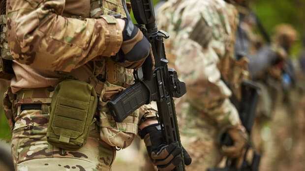 NYT: США и Украина обсуждали размещение нейтральных войск в Донбассе