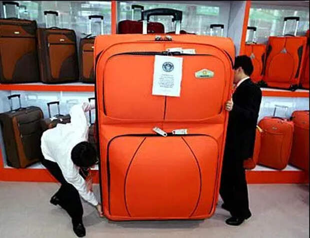 Евросоюз приравнял домашних животных к обычному багажу при авиаперевозках