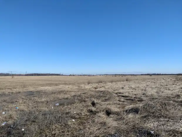 Прогноз погоды на май в Казахстане: Где ожидается засуха