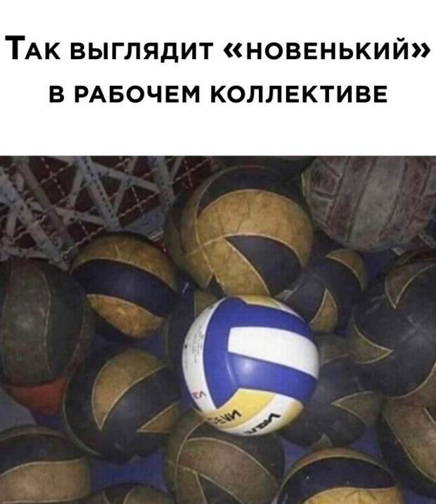 Смешные картинки 3 мая 2021