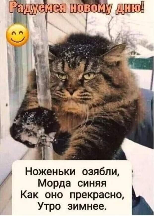 Кто ходил на улицу,как там?) https://t.me/webmoney_dn/310712