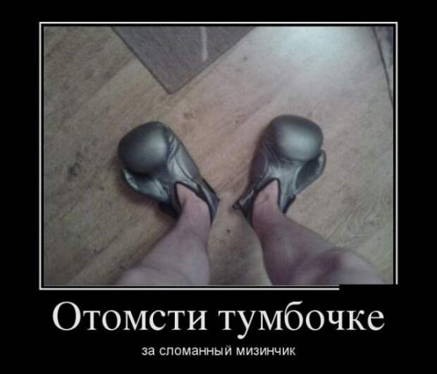 Обо всём.