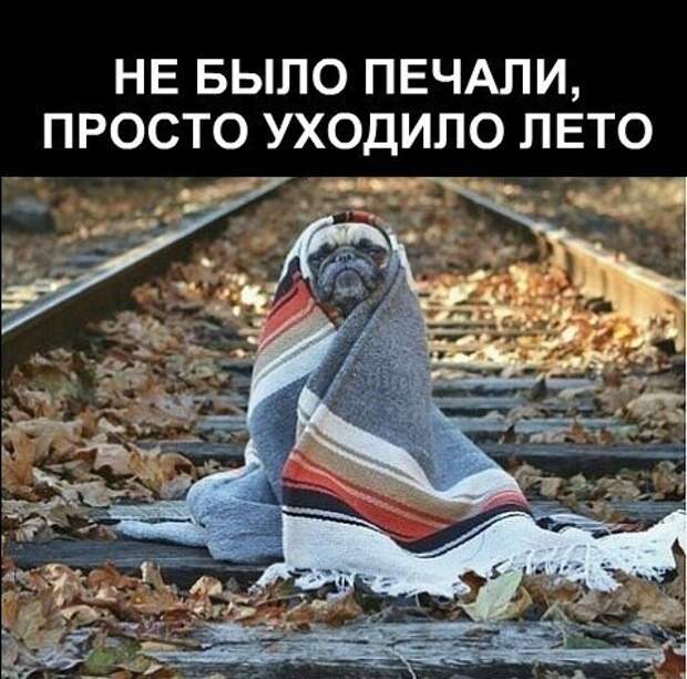 Смешные картинки из соц.сетей  картинки, комментарии, переписка, соц. сети, юмор
