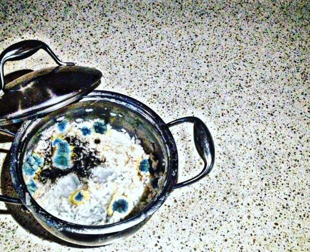 Ну, забыл Ну, забыл вольная птица, одиночки, сам по себе, холостяки