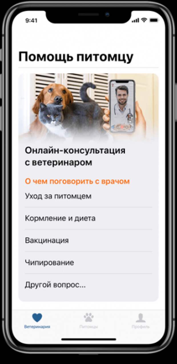 Пагль