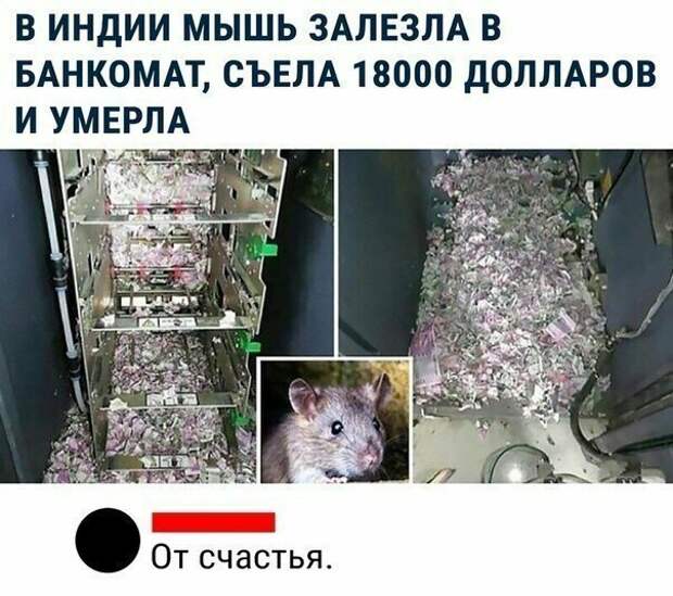 Лучше бы в пекарню залезла Лучше бы в пекарню залезла банк, банковские услуги, банкомат, подборка, прикол, странное