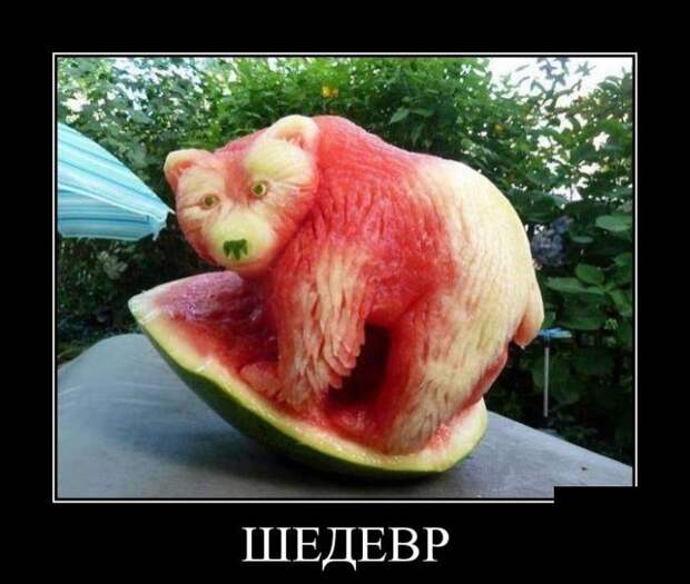 Демотиваторы бревно, демотиваторы, юмор