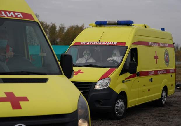 Роспотребнадзор начал эпидрасследование из-за подозрения на оспу обезьян