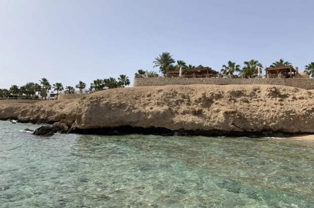 Ученые обнаружили в Египте останки потенциально древнейшего примата Земли