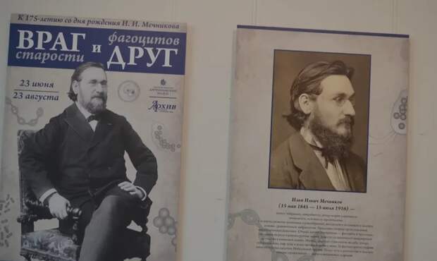 Мечников.jpg