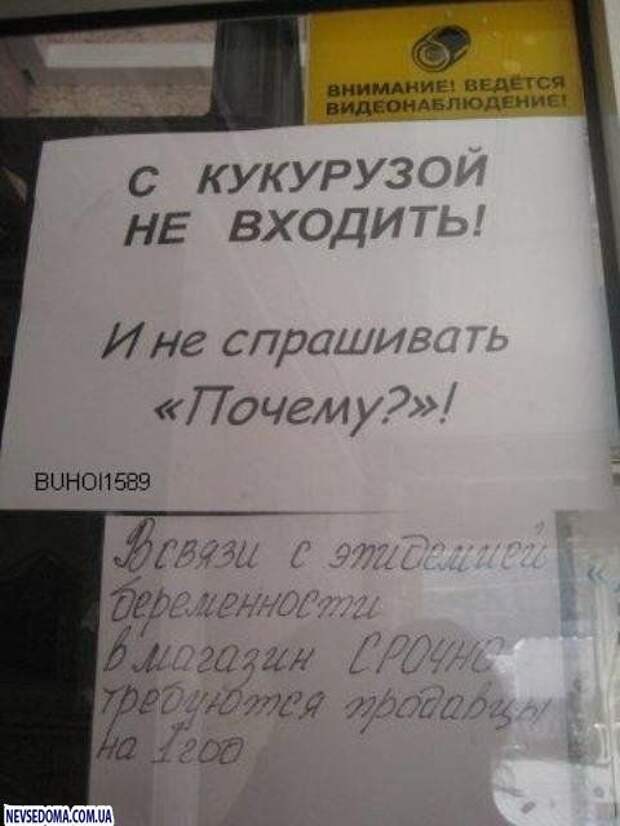 Смешные объявления (64 фото)