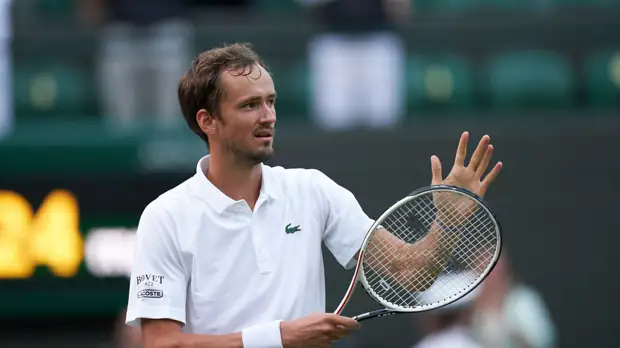 Камельзон: болельщики забудут о Евро-2020, если Медведев встретится с Федерером на Уимблдоне