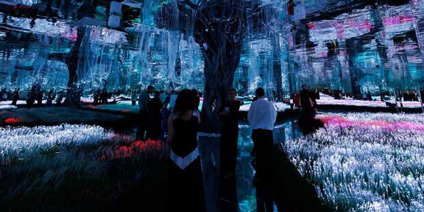 Где шум — это искусство, а чай — портал в мета-вселенную