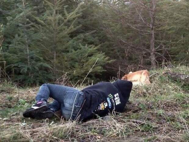 Она лежала на земле, не подавая признаков жизни... Посмотрите, что сделал этот бездомный пес!