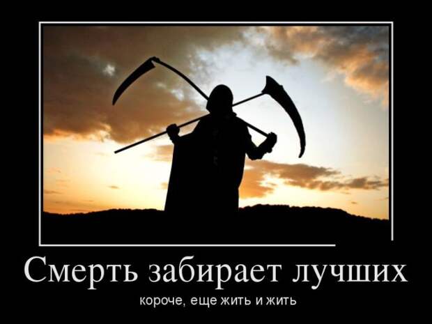 Демотиваторы (30 фото)