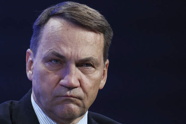 Профессор Дизен удивился словам Сикорского о месте Европы за столом переговоров