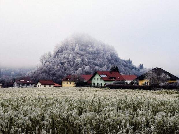 Лучшие фотографии от National Geographic
