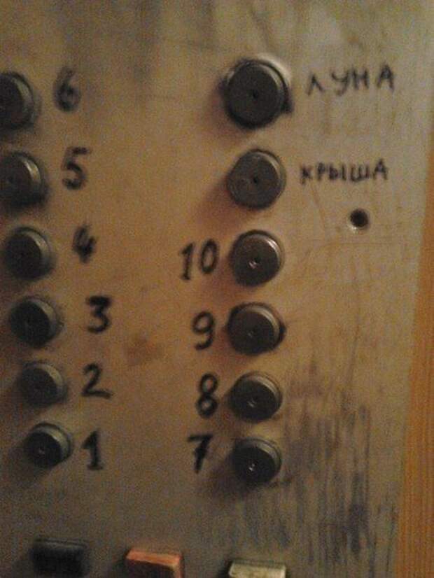 Прикольные картинки Прикольные картинки