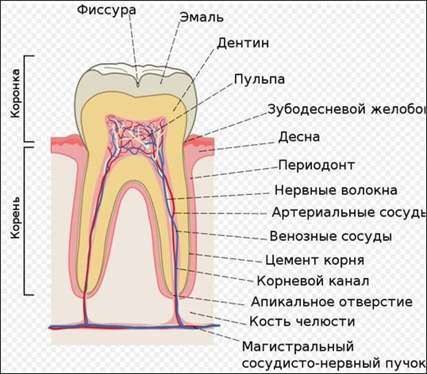 2012-02-08_125036