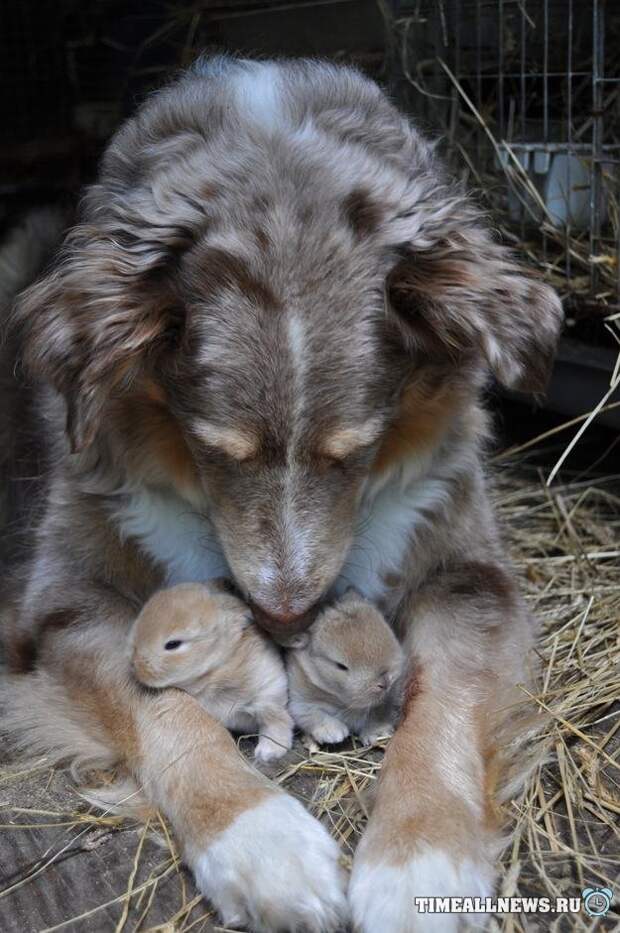 Когда законы природы отдыхают