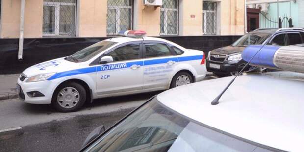 Полиция: В незаконной акции в Москве участвует около 350 человек/ фото: mos.ru