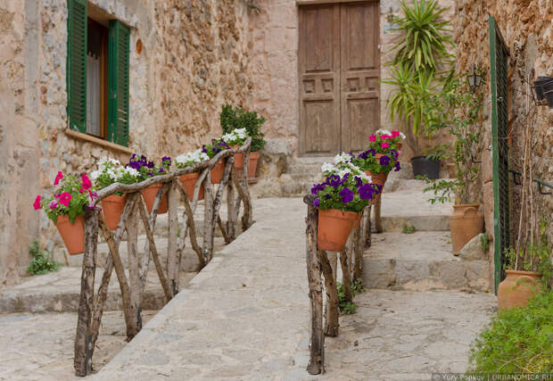 12: Город тысячи цветочных горшков