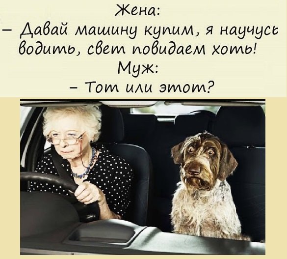 Анекдоты, истории и картинки с надписями