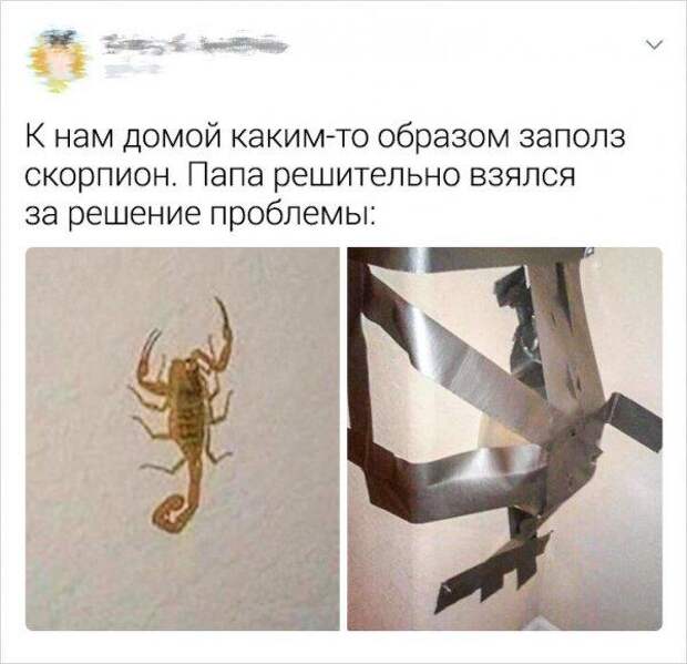 www.vsyako.net