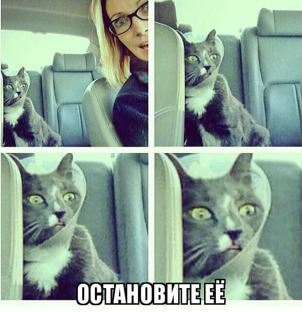 Осторожно! За рулем сногсшибательная женщина Осторожно! За рулем сногсшибательная женщина