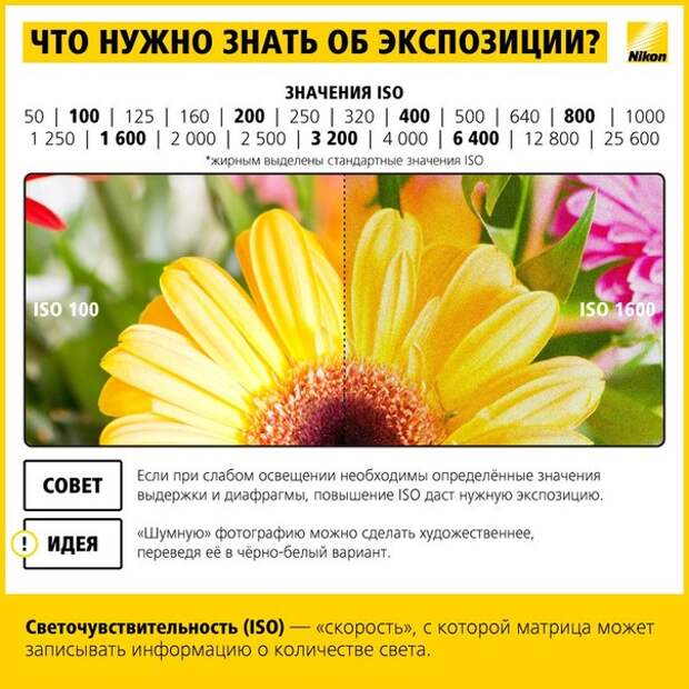 Учимся фотографировать: работа с экспозицией.