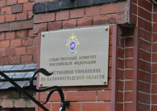 Председатель Следственного комитета России затребовал доклад о расследовании обстоятельств отравления несовершеннолетних в Калининградской области